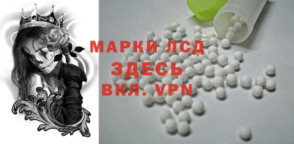 шишки Арсеньев