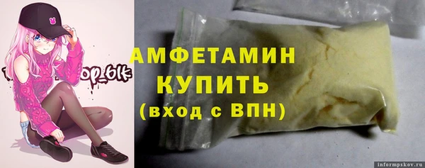 шишки Арсеньев