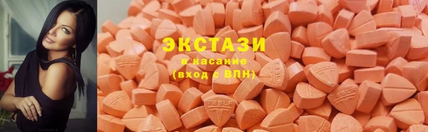 шишки Арсеньев