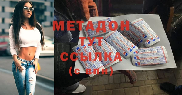 шишки Арсеньев