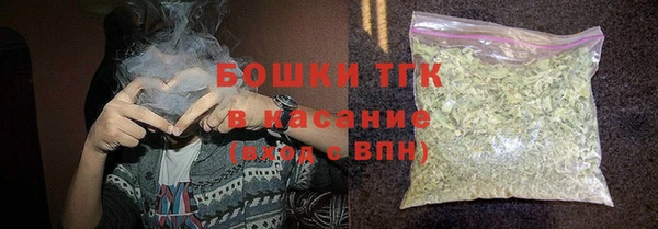шишки Арсеньев