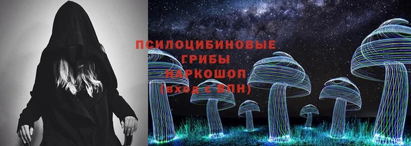 шишки Арсеньев