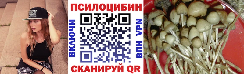 дарнет шоп  Кремёнки  Галлюциногенные грибы MAGIC MUSHROOMS 